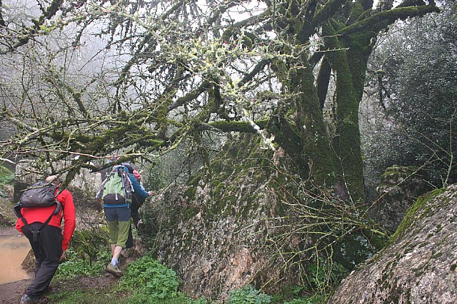 Ruta senderista Torcal de Antequera y Caminito del Rey (Mlaga) - 103
